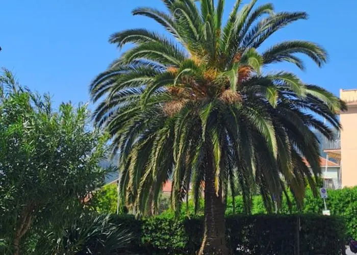 公寓 Raggio Di Sole 洛阿诺